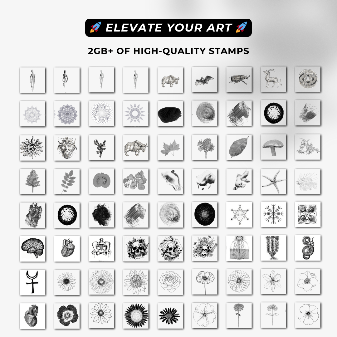 Procreate Mastery: The Ultimate 3800+ Brushes & Stamps Collection